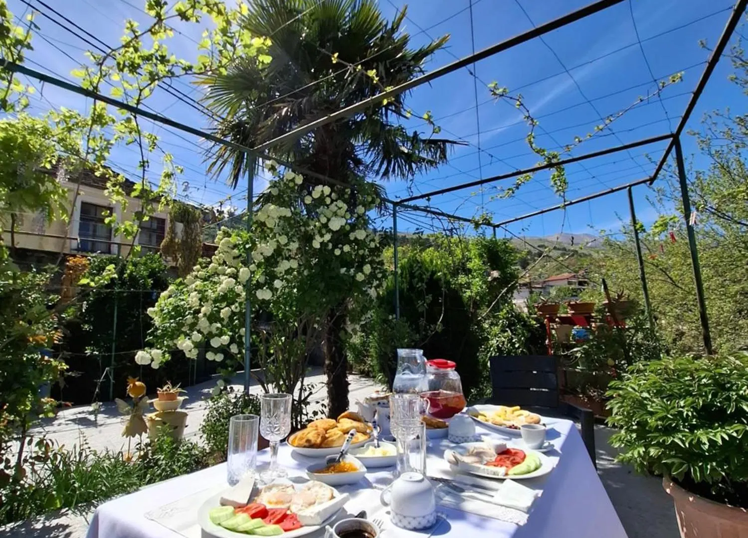 Guest House Luna Gjirokaster